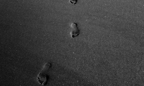 pexels-adrien-olichon-1257089-3646206